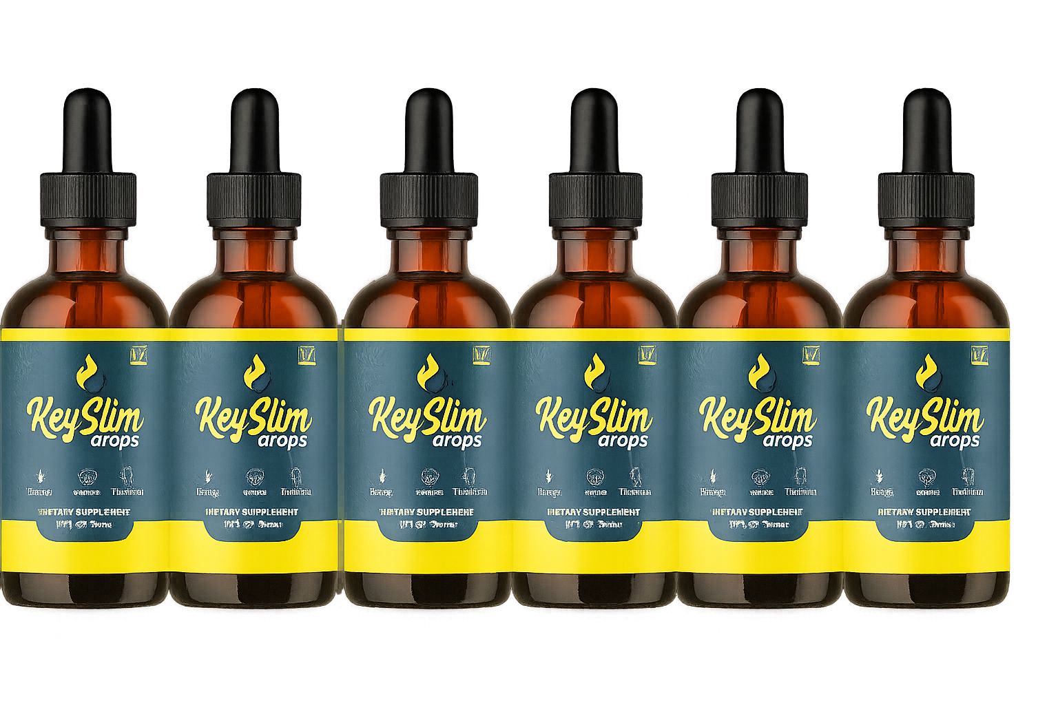 6 FRASCOS DE KEYSLIM